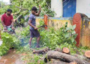 பலத்த மழை மற்றும் காற்று காரணமாக, கொத்தங்குடி ஊராட்சியில் மரம் முறிந்து விழுந்து மின் கம்பம் சேதம்