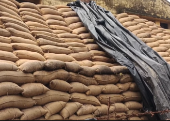 சித்தர்காடு அரசு சேமிப்புக் கிடங்கில் விவசாயிகளிடமிருந்து கொள்முதல் செய்யப்பட்டு மழையில் நனைந்து சேதம்