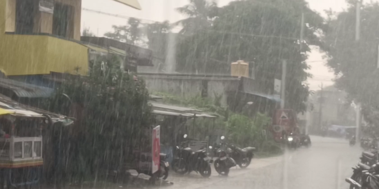 செங்கல்பட்டு மாவட்டத்தில் மீண்டும் கொட்டி தீர்த்த மழை