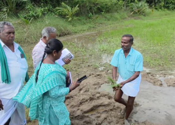 மழையால் பாதிக்கப்பட்ட விவசாய நெற்பயிர்களை புதியசெயலி மூலம் கணக்கெடுக்கும் பணி வேளாண்துறை விவசாயிகள் வாக்குவாதம்