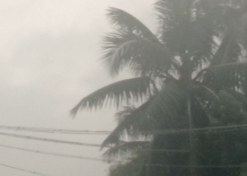 டிட்வா புயல் எதிரொலி செங்கல்பட்டு மாவட்டத்தில் பலத்த மழை நெல் பயிர்கள் நீரில் மூழ்கியது