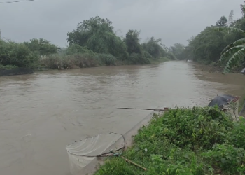 மயிலாடுதுறை மாவட்டத்தில் தொடரும் கனமழை காரணமாக,22,000 ஏக்கரில் சம்பா நெற்பயிர்கள் நீரில் மூழ்கின,தண்ணீரை வடியவைக்க நடவடிக்கை