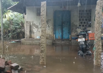 காளியப்பநல்லூர் ஊராட்சி N.N. சாவடியில் சூழ்ந்த மழைநீர்3நாட்களாக வீட்டில் புகுந்த தண்ணீரை வெளியேற்றிவரும் பெண்