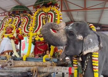 மயிலாடுதுறை காவிரி துலா உற்சவத்தின்5-ம் நாள் ஐதீகத் திருவிழா மயில் உருவில் நடனமாடி தீர்த்தவாரி உற்சவம்