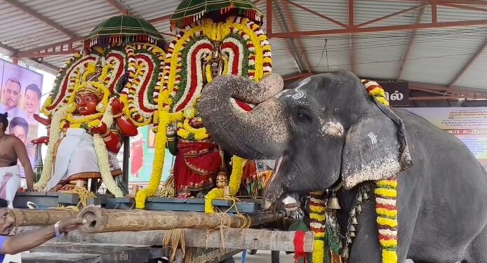 மயிலாடுதுறை காவிரி துலா உற்சவத்தின்5-ம் நாள் ஐதீகத் திருவிழா மயில் உருவில் நடனமாடி தீர்த்தவாரி உற்சவம்