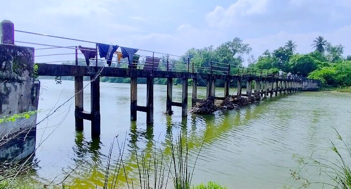 நீடாமங்கலம் கிராம மக்களின் உயிருக்கும் உடைமைக்கும் அச்சுறுத்தலாக இருந்துவரும் இணைப்பு நடைபாலம் சீரமைத்து தர கோரிக்கை