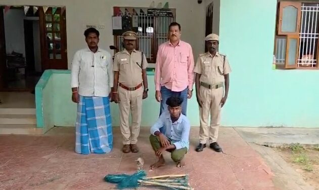 சீர்காழி அருகே மடையான் பறவைகளை பிடித்த 3 பேர் கைது