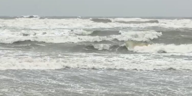 டிட்வா புயல் காரணமாக சீர்காழி அருகே கடலோர கிராமங்களில் கடுமையான கடல் சீற்றம்