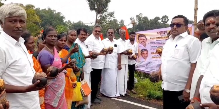 உதயநிதி ஸ்டாலின் பிறந்தநாளை முன்னிட்டு ஆயிரத்துக்கும் மேற்பட்ட பனை விதைகளை நட்டு சுற்றுச்சூழலை காக்கும்பணி