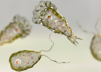 “மூளையை நொறிக்கும் அமீபா : தமிழகத்தில் குளம், குட்டை, ஏரிகளில் குளிக்க தடை !”