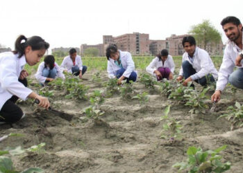 அல்வா மாதிரி 6 லட்சம் மானியம் ! அக்ரி பட்டதாரிகளுக்கு அரசின் சூப்பர் திட்டம்