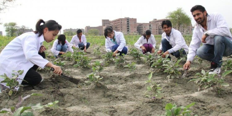 அல்வா மாதிரி 6 லட்சம் மானியம் ! அக்ரி பட்டதாரிகளுக்கு அரசின் சூப்பர் திட்டம்