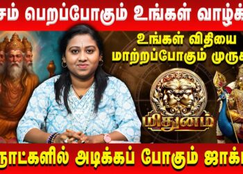 மிதுனம் – உச்சம் பெறப்போகும் உங்கள் வாழ்க்கை | Mithuna Rasi | Sara Tarrot | Retro Aanmeegam