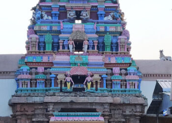 விஸ்வநாத சுவாமி திருக்கோயில்