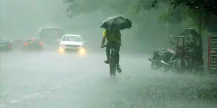 நவம்பர் 17ல் தமிழகத்தின் 8 மாவட்டங்களில் கனமழை எச்சரிக்கை