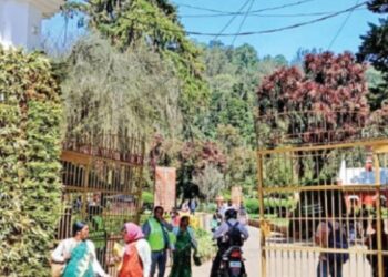 மலர்கள் இல்லாத காலத்திலும் கவரும் அலங்காரத் தூண்கள் மகிழும் சுற்றுலா பயணிகள்!