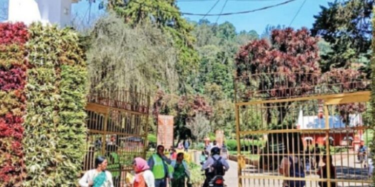 மலர்கள் இல்லாத காலத்திலும் கவரும் அலங்காரத் தூண்கள் மகிழும் சுற்றுலா பயணிகள்!