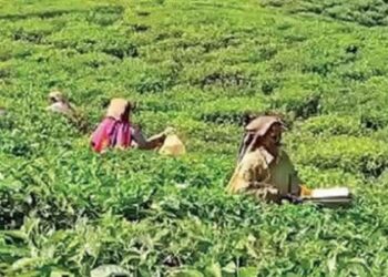 வால்பாறை தோட்டத் தொழிலாளர் ஊதிய விவகாரம் சமரசப் பேச்சுவார்த்தை