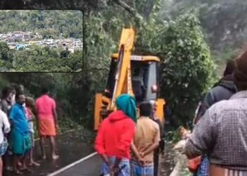 கொடைக்கானல் ராட்சத மரம் விழுந்து போக்குவரத்து பாதிப்பு: ஒட்டன்சத்திரம் மக்கள் சிரமம்