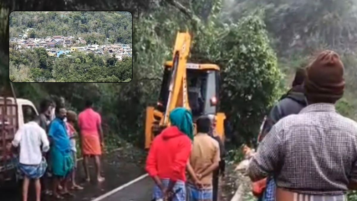 கொடைக்கானல் ராட்சத மரம் விழுந்து போக்குவரத்து பாதிப்பு: ஒட்டன்சத்திரம் மக்கள் சிரமம்