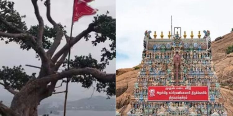 திருப்பரங்குன்றம் கல்லத்தி மரத்தில் பிறைக்கொடி