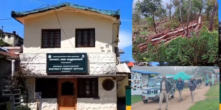 கொடைக்கானல் மரங்கள் கடத்தல்: வனச்சரக அலுவலர் உள்ளிட்ட 4 பேர் சஸ்பெண்ட்