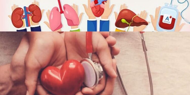 உடல் உறுப்பு தானிகளின் பெருமைக்கு ‘தியாகச்சுவர்’ தமிழக அரசு புதிய கவுரவம்