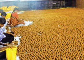 ஈரோடு மகாவீர ஆஞ்சநேயர் கோயிலில் அனுமன் ஜெயந்தி  75 ஆயிரம் லட்டுகள் தயார்