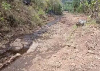 தாண்டிக்குடி – கூடம் நகர் சாலைப் பணிக்கு வனத்துறை முட்டுக்கட்டை  மலைக்கிராம மக்கள் கடும் அவதி