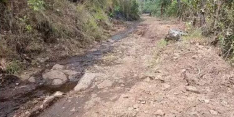 தாண்டிக்குடி – கூடம் நகர் சாலைப் பணிக்கு வனத்துறை முட்டுக்கட்டை  மலைக்கிராம மக்கள் கடும் அவதி