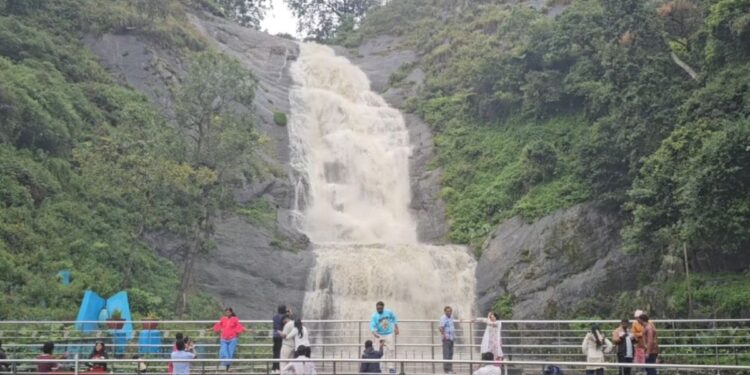 கொடைக்கானலில் மழையில் நனைந்தபடி செல்ஃபி எடுத்து சுற்றுலாப் பயணிகள் உற்சாகம்.