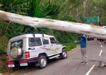 மலைகளின் இளவரசியில் மரம் விழுந்து போக்குவரத்து ஸ்தம்பிப்பு சுற்றுலாப் பயணிகள் கடும் அவதி