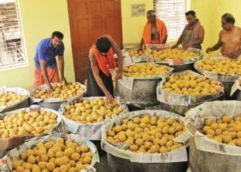 சுசீந்திரத்தில் ஆஞ்சநேயர் ஜெயந்தி விழா: 18 அடி உயர சிலைக்கு 16 வகை அபிஷேகம்