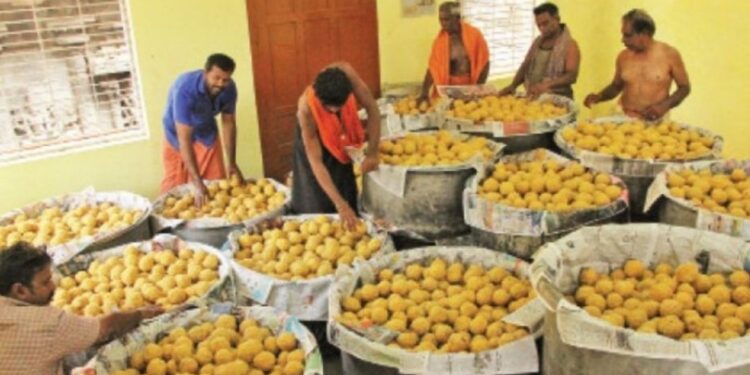 சுசீந்திரத்தில் ஆஞ்சநேயர் ஜெயந்தி விழா: 18 அடி உயர சிலைக்கு 16 வகை அபிஷேகம்