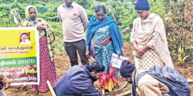 அதிக மகசூலுக்கு ஆண்டுக்கொரு முறை மண்ணை ஆய்வு