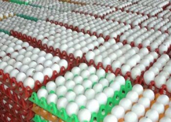 முட்டை விலை ‘ஜெட்’ வேகத்தில் உயர்வு நாமக்கல் பண்ணையாளர்கள் மகிழ்ச்சி