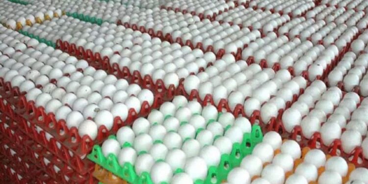 முட்டை விலை ‘ஜெட்’ வேகத்தில் உயர்வு நாமக்கல் பண்ணையாளர்கள் மகிழ்ச்சி