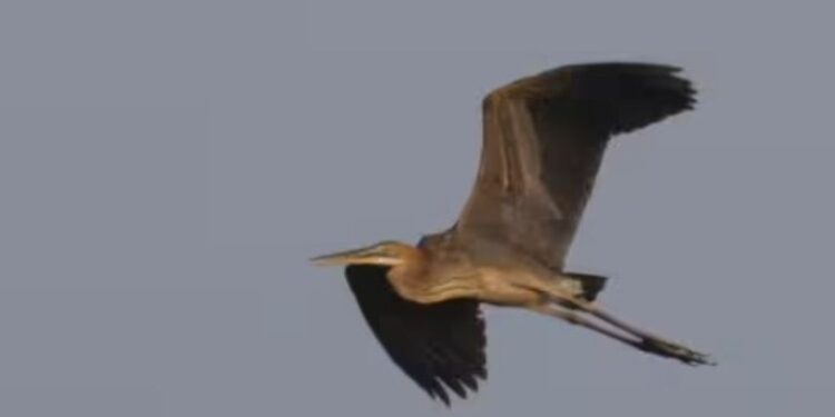 எழுமலையில் ராமகிருஷ்ண – விவேகானந்த பக்தர்களின் மாநில மாநாடு: ஆயிரக்கணக்கானோர் பங்கேற்பு