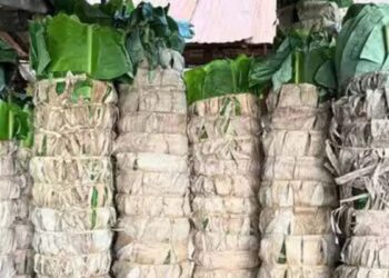 வாழை இலை விலை விண்ணைத் தொட்டது!  வரலாறு காணாத உயர்வு!