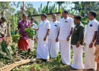 பந்தலூர் அருகே 15 யானைகள் அட்டகாசம்: விவசாய பயிர்கள் நாசம் – எம்.எல்.ஏ. எச்சரிக்கை!