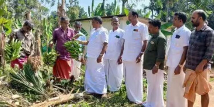 பந்தலூர் அருகே 15 யானைகள் அட்டகாசம்: விவசாய பயிர்கள் நாசம் – எம்.எல்.ஏ. எச்சரிக்கை!