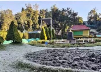 கொடைக்கானலில் மைனஸ் டிகிரியை நெருங்கும் உறைபனி  3 டிகிரிக்கும் கீழாகச் சரிந்த வெப்பநிலையால் இயல்பு வாழ்க்கை