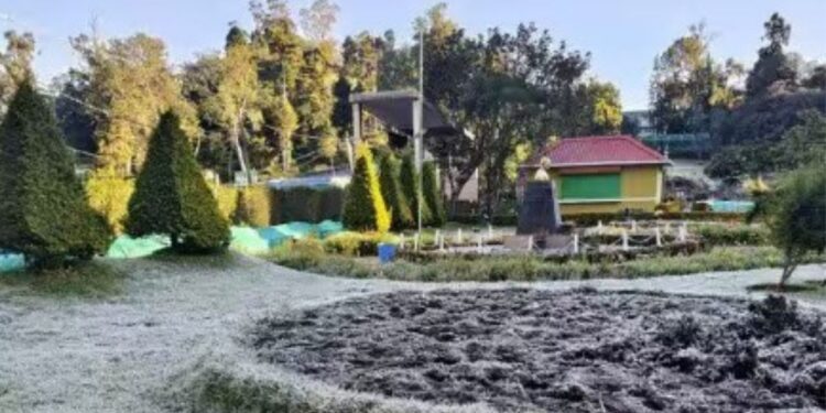 கொடைக்கானலில் மைனஸ் டிகிரியை நெருங்கும் உறைபனி  3 டிகிரிக்கும் கீழாகச் சரிந்த வெப்பநிலையால் இயல்பு வாழ்க்கை