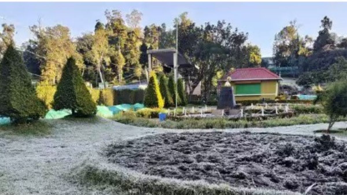 கொடைக்கானலில் மைனஸ் டிகிரியை நெருங்கும் உறைபனி 3 டிகிரிக்கும் கீழாகச் சரிந்த வெப்பநிலையால் இயல்பு வாழ்க்கை