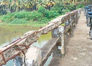  பழையாறு தடுப்பணைகள் சிதிலம் விவசாய நீராதாரங்களைப் பாதுகாக்க கோரிக்கை!