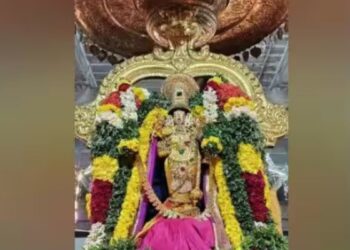 பரமக்குடி மற்றும் எமனேஸ்வரம் பெருமாள் கோயில்களில் வஜ்ர கவச அலங்காரத்தில் பெருமாள் எழுந்தருளல்