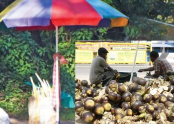 ஊட்டியில் நுங்கு விற்பனை களைகட்டியது!