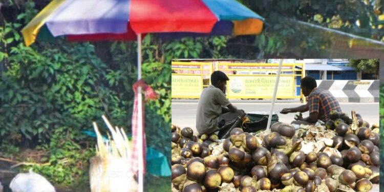 ஊட்டியில் நுங்கு விற்பனை களைகட்டியது!