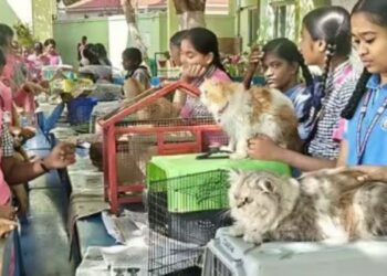 திண்டுக்கல் செயின்ட் ஜோசப் சி.பி.எஸ்.இ. பள்ளியில் அசத்தல் செல்லப்பிராணிகள் கண்காட்சி