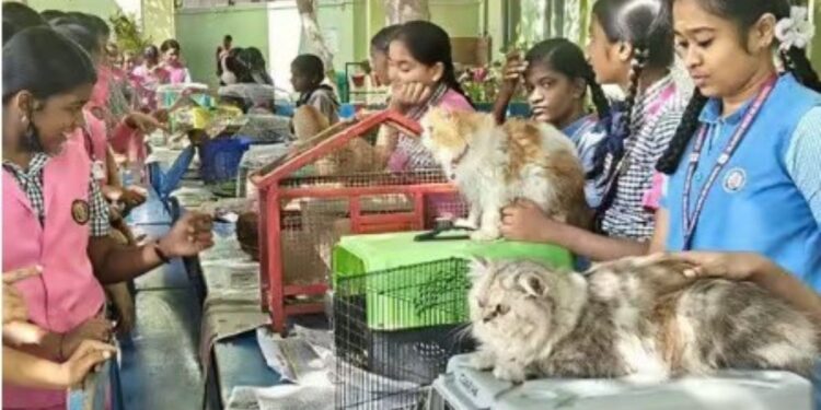 திண்டுக்கல் செயின்ட் ஜோசப் சி.பி.எஸ்.இ. பள்ளியில் அசத்தல் செல்லப்பிராணிகள் கண்காட்சி